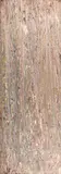 Ores by Larry Poons, acrylic on canvas, sold Apr 2026