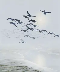 Pintails and Wigeon Coming Out of the Mist at Ebb Tide by Peter Scott, 1981, oil on canvas, sold Apr 2026