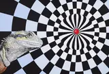 Lézard by Serge Lemonde, acrylic on board, sold Mar 2026