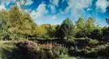 Reclaimed Heathland, West Heath by Scott McFarland, inkjet print, sold Mar 2026