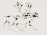 Caribou by Eddy Cobiness, 1992, watercolour on paper, sold Feb 2026