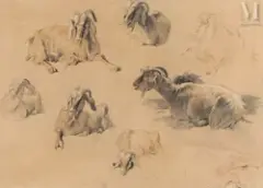Etude de chêvres et de boucs by Xavier de Poret, Crayon sanguine et rehauts de craie blanche, sold Mar 2025