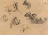 Etude de chêvres et de boucs by Xavier de Poret, Crayon sanguine et rehauts de craie blanche, sold Mar 2025