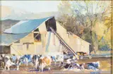 Barn with Cows by Brian Sweetland, Oil on Board, offered Feb 2023