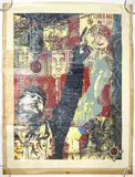Shepard Fairey by Shepard Fairey, Mixed Media on Paper, offered Aug 2021
