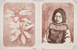 Mountain Laurel by John Sherrill Houser, lithograph, offered Jun 2023