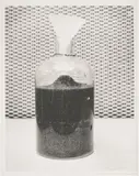 re:Search Drosphilia Morgue, 1994 by Catherine Wagner, lithograph, offered Jun 2023