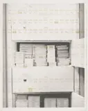 Biogenetics Lab Suite Clone Library with DNA re: Search DNA/RNA synthesizer w/chromosomes, 1994 by Catherine Wagner, lithograph. Publisher: Island Press, Washington University, offered Jun 2023