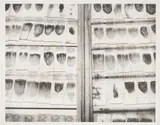 Biogenetics Lab Suite re: Search Bone Marrow Smears with DNA, 1994 by Catherine Wagner, lithograph. Publisher: Island Press, Washington University, offered Jun 2023