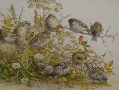 No Shortage of Sparrows by Elizabeth Walsh, Watercolour, sold Dec 2025