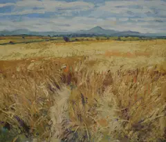 Untitled by June Bennett, Oil on canvas, sold Nov 2025