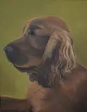 Des' traditional portrait of a brown spaniel on olive background by Sheila King, Oil on canvas, sold Oct 2025