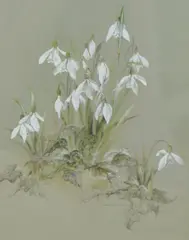 Untitled by Susan Murphy, 1987, pencil, sold May 2025