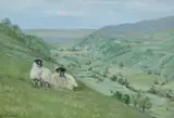 Summer in The Dales' elevated pastoral scene with sheep by Carol Russell, drawing, sold May 2025