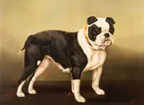 `mischief' a bull bitch by Edward Aistrop, Oil on canvas, sold Nov 2025
