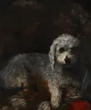 A favourite dog by L. Magill, Oil on canvas, sold Nov 2025