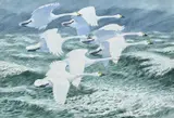 Heavy weather by Charles Frederick Tunnicliffe, Watercolour, sold Nov 2025