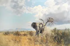 Elephant on a plain by Donald Grant, oil on canvas, sold Jun 2014
