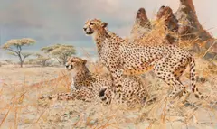 Cheetahs by Donald Grant, oil on canvas, sold Jun 2014