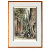 Wawona Mariposa Grove by Luigi Kasimir, Etching Wawona Mariposa Grove March 1931 Color etching, sold Mar 2024