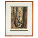 Riders, Giant Sequoia Riders, Giant Sequoia Color by Luigi Kasimir, etching, sold Mar 2024