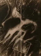 Shadow by György Kepes, Collage with Magnetic Elements Technique mixte comprenant photogramme et cliché-verre, sold Jun 2026