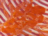 Plexus by Stanley William Hayter, Eau-forte et aquatinte en couleurs, sold Jun 2026