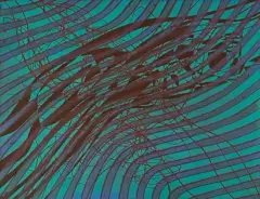 Sea serpent by Stanley William Hayter, Eau-forte et aquatinte en couleurs, sold Jun 2026