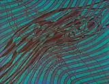Sea serpent by Stanley William Hayter, Eau-forte et aquatinte en couleurs, sold Jun 2026