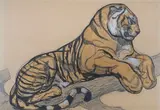 Tigre alllongé sur une branche by Paul Jouve, Crayon, encre de Chine et rehauts de gouache sur papier encadré, sold Sep 2025