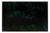 Foret by Éric Hurtado, Tirage photographique AluDibond H_79 cm L_120 cm, sold Apr 2025
