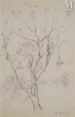 Étude d’un arbre by Mikhail Larionov, Mine de plomb sur feuille à carreaux, sold Dec 2025