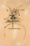 Sans titre by Georges Mathieu, 1950, Huile sur papier, sold Nov 2025