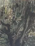 Étude d’arbres by Maria Sepiol, Pastel sur papier, sold Nov 2025