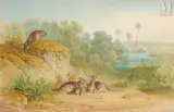 Guépards surveillant une famille de cervidés by Alphonse Doudiet, Aquarelle partiellement vernissée sur traits de crayon noir, sold Sep 2025