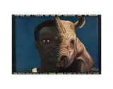 Father God I thank you for not creating me a rhino - The painter Kwame Akoto glanced through mirror to paint his halface plus rhino by Almighty God, 2010, Acrylique sur bois et cadre d'origine, sold Apr 2018