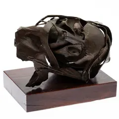 The Head by Robert Cook, 1959, Bronze, offered Jun 2021