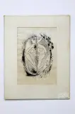 Untitled by Laxman Pai, 1966, Ink drawing. Matted, unframed. Visible, offered May 2017