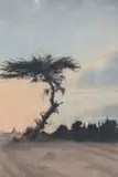 Untitled by B Sing, charcoal and chalks, sold Apr 2025