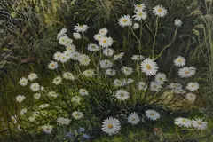 Dog Daisies' signed lower right, entitled verso, within a moulded frame 16cm x 23cm & 27cm x 34cm overall by Stephen J. Darbishire, oil on board, sold Mar 2025