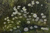 Dog Daisies' signed lower right, entitled verso, within a moulded frame 16cm x 23cm & 27cm x 34cm overall by Stephen J. Darbishire, oil on board, sold Mar 2025