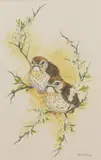 Untitled by Pam Mullings, watercolour and goache, sold Jan 2025