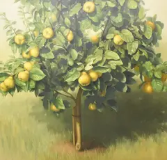 Untitled by Raquel Alvarez Sardina, oil on canvas, sold Dec 2024