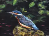 A Kingfisher on the Lookout by J.A. Soames, oil on canvas, sold Oct 2024