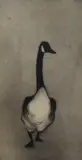 Proud Goose by Julian Williams, etching, sold Aug 2024