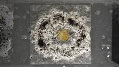Untitled by Barry Cooper, sculpture, sold Aug 2024