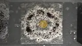 Untitled by Barry Cooper, sculpture, sold Aug 2024