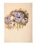Study of tulips by Stanley Spencer, Oil on paper, sold Jul 2025