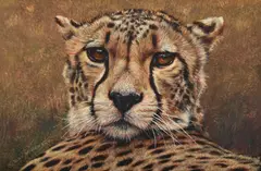 Cheetah by Alan M. Hunt, Acrylic on board, sold Jul 2025