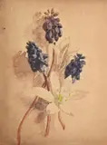 Study of flowers by Stanley Spencer, Watercolour, sold Jul 2025